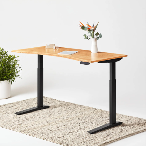 Fully Jarvis Sustainable Standing Desk