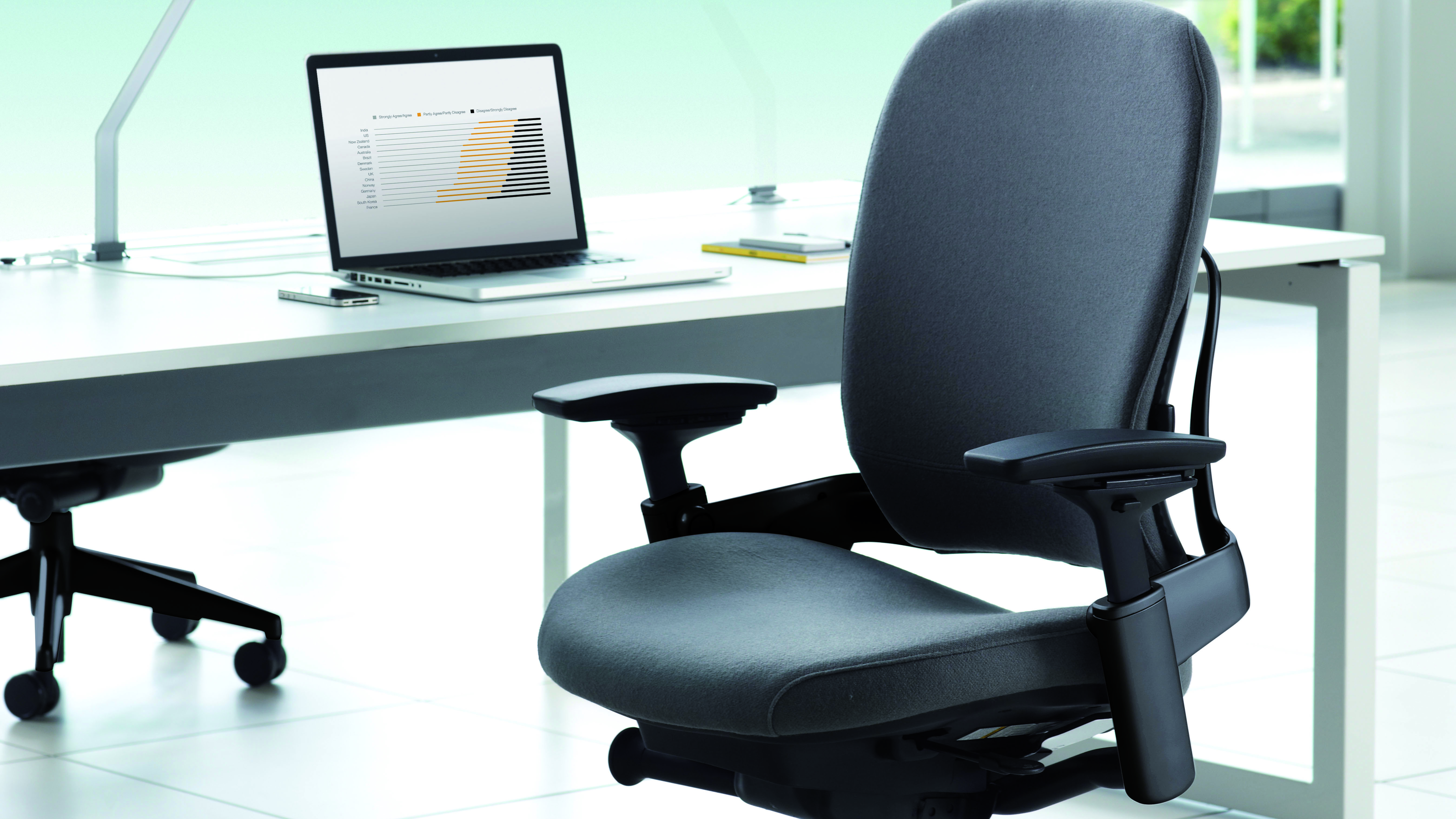 Leap Ergonomic & Adjustable Office Chairs for Programmers