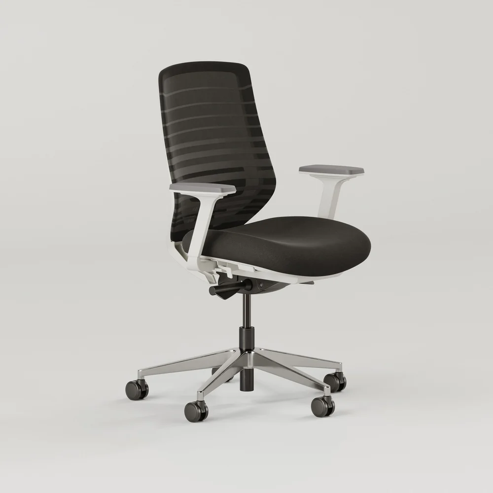 Branch Ergonomic office chairs under 500